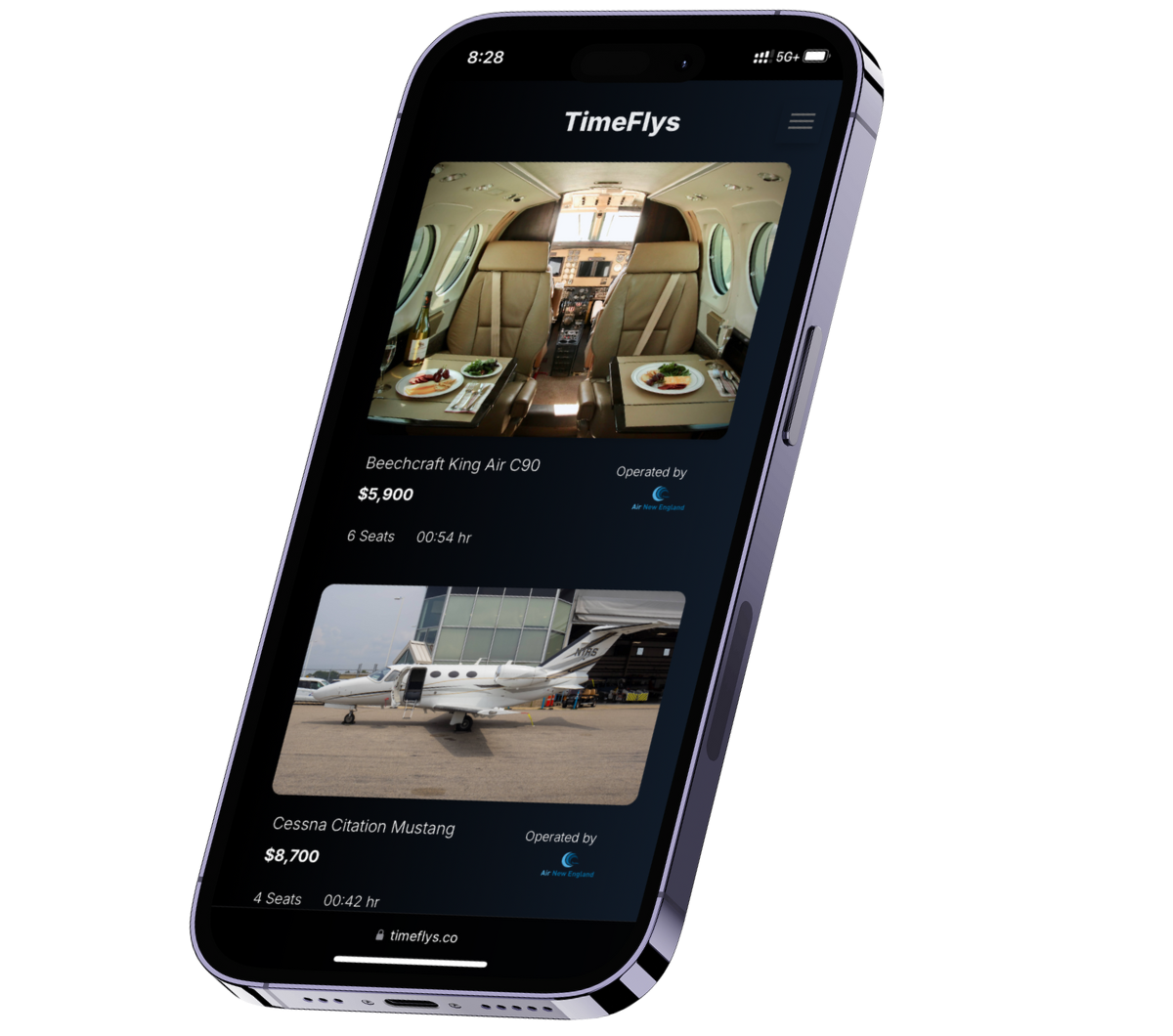 TimeFlys iOS mockup